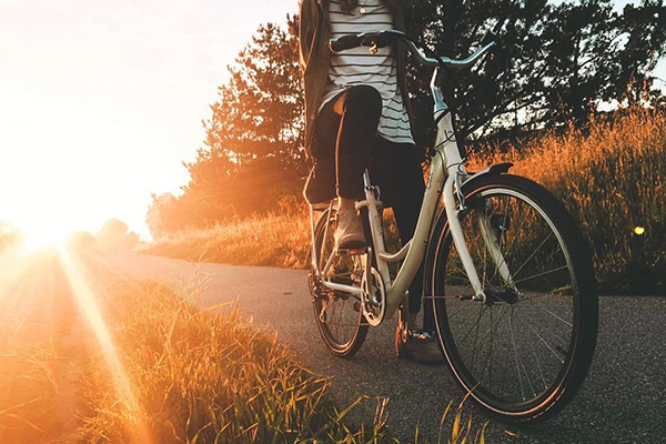 Beautiful afternoon in the countryside