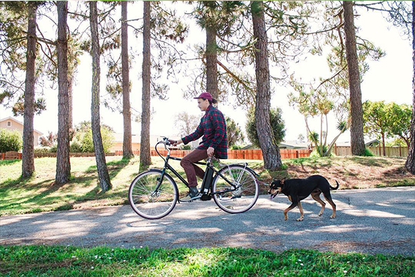 SpinTech&trade; electric bike riding with dog